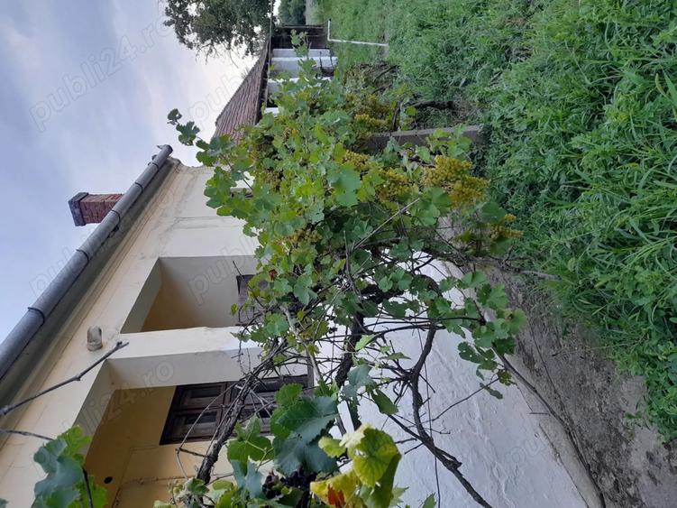 Casa de vanzare in Pocsaj Ungaria - 2