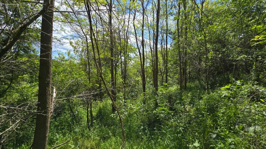 Vand Teren Arefu, Arges zona Cetatea Poenari (Vlad Tepes), Transfagarasan - 5