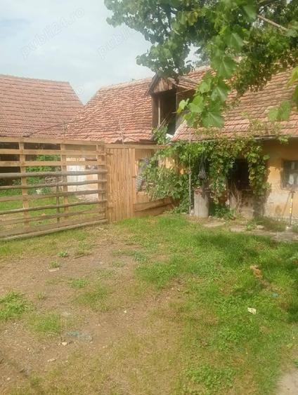 vand casa in com Altana sat benesti str noua Nr 100 - 3