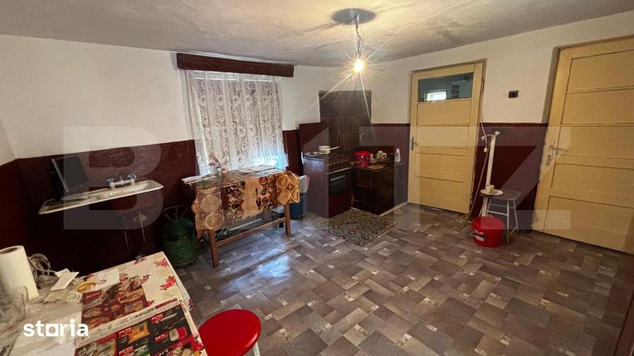 Proprietate cu 2 case, 3.345 mp teren, Balota de Jos, comuna Murgasi - 14