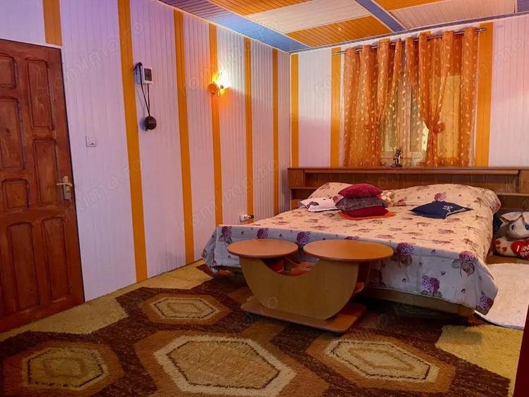 Casa 445 mp Dochia spa?ii foarte mari, 5000 mp curte, ideal familie sau afacere - 16