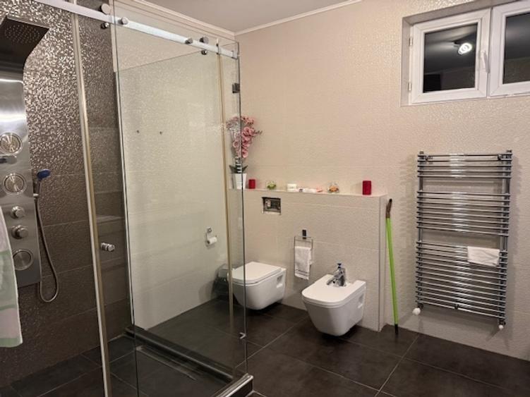 Mosilor vanzare casa vila - 4