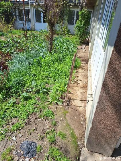 A 24 case 10000 mp teren Seciuieni Bacau - 9