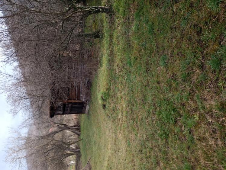 Vand Casa, Paulean jud.Arad - 1