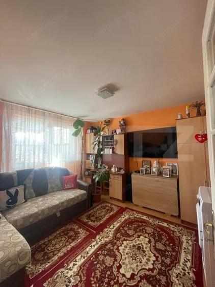 Locuinta in Ticu-Colonie (Casa de vacanta la un pret corect!) - 7