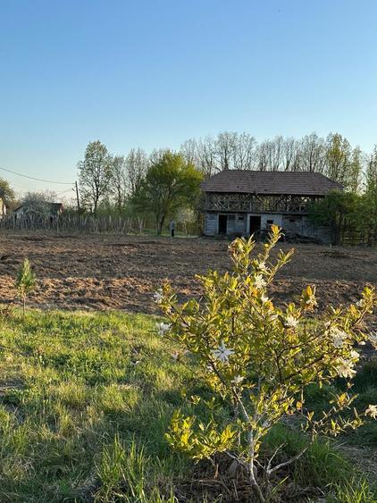 Vand proprietate - 1