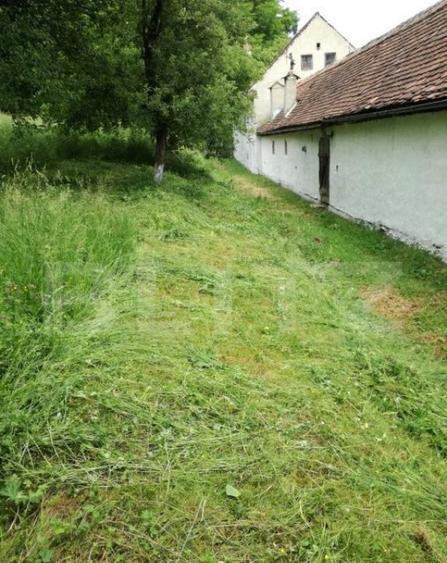 Casa off-grid 5 camere Sangatin - 7