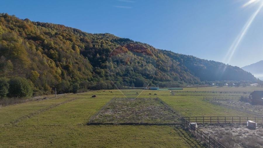 Teren cu priveliște de vis și curent trifazic – Plaiul Foii - 3