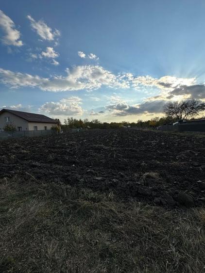 Teren intravilan casa Alexeni Ialomita - 2