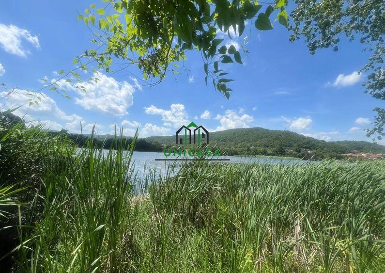 Teren Fedelesoiu/3200 mp/Intravilan - 6