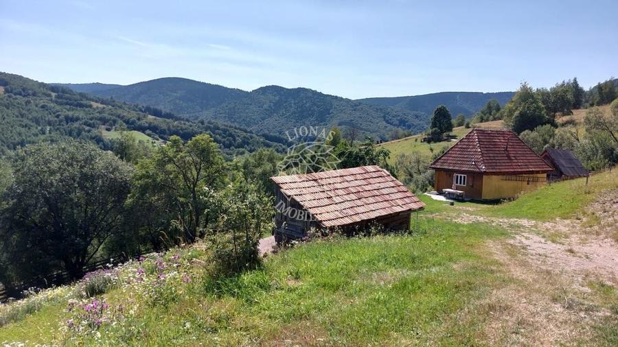 Teren extravilan investiție Rachitele Cluj - 31.555 mp - 3