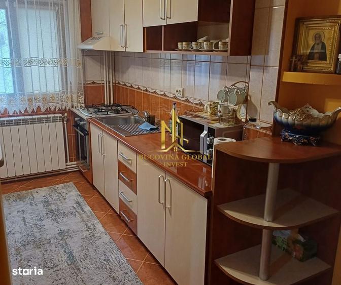 Apartament de inchiriat cu 2 camere George Enescu, etaj 2 350 - 4