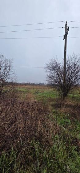 Teren 5000 mp 1 decembrie - strada Oituz - 3