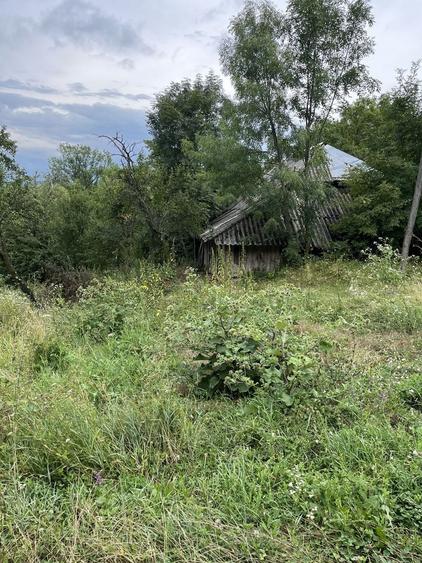 VAND CASA BATRANEASCA, 3,1 HA IN JURUL CASEI, COM.CETATENI - 5