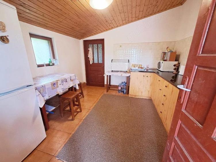 Casa de vanzare-Pitesti, sat Profa Deal - 4