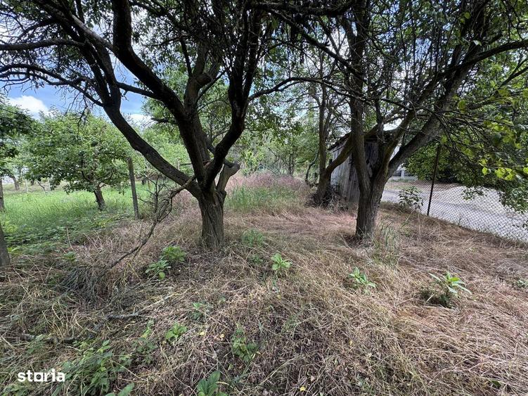 Teren intravilan / gradina cu cabanuta , zona Bercu Rosu - 1