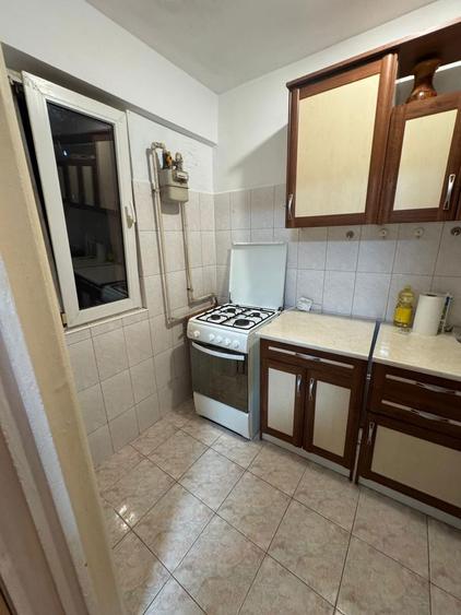 Garsoniera de inchiriat Teiul Doamnei - 10