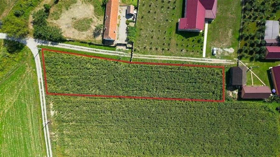 Teren intravilan, pe 2.000mp, Bacel, Covasna - 5