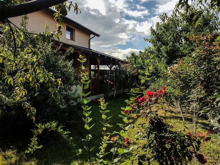 Tartasesti, Gulia - 2