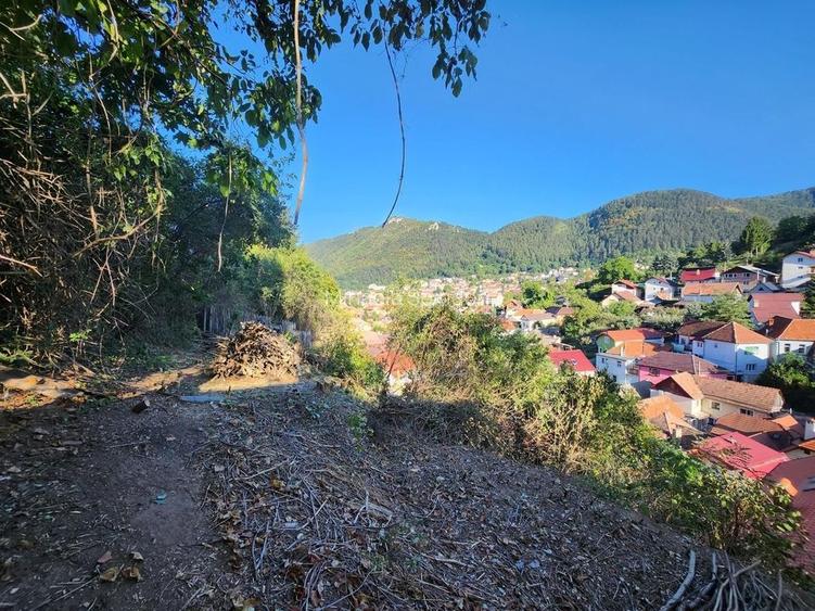 CASA CU TEREN IN Cartierul Schei