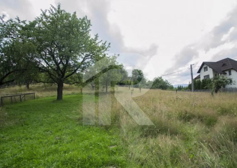 Teren investitie Bran - Predelut, la 2 km de Castelul Bran - 6