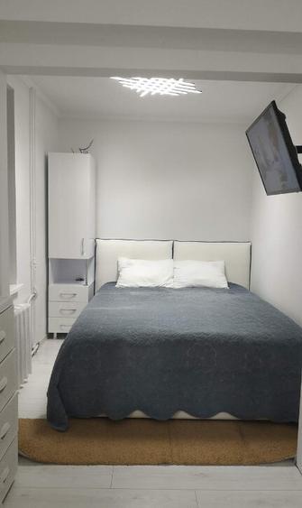 Apartament cu o camera de inchiriat in zona Parcului Armatura - 3