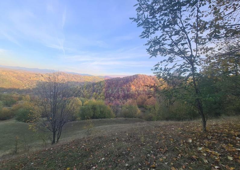 Teren intravilan de vanzare in Telega - 1