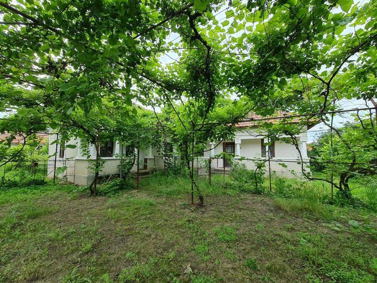 Proprietar vand casa 4 camere, canalizare, apa re?ea, Hotarani - 4 km de Vanju Mare - 5