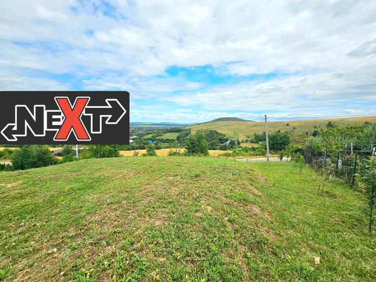 Teren dobreni la strada principala - 1