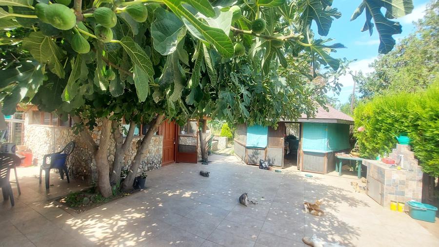 Vanzare 3 case moderne + 3 anexe si 2000 mp teren gradina, pomi in Tuzla la mare - 33