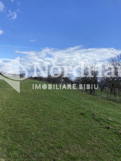 Teren Extravilan Rasinari 1500 mp | Zona deosebita - 2