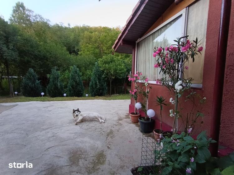 Vand casa - 16