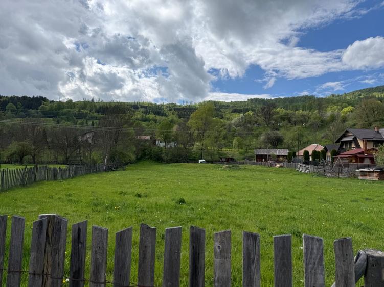 Teren Valea Doftanei - Traisteni - 1
