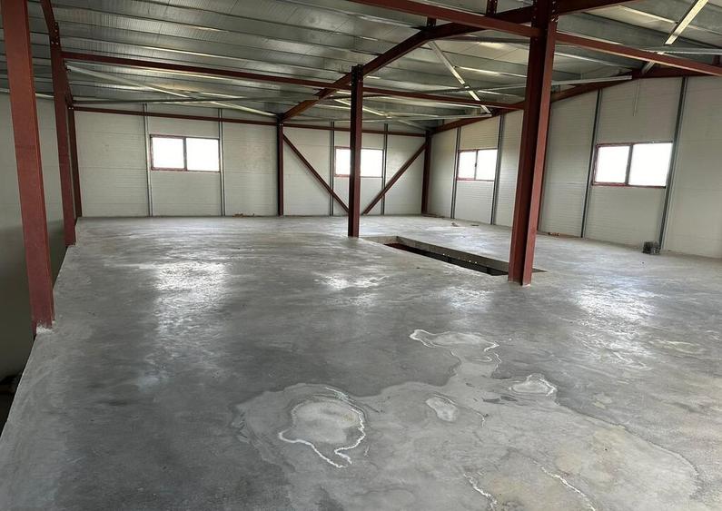 Zona Drumul Intre Tarlale - hala 1125 mp din care 200 mp ... - 8