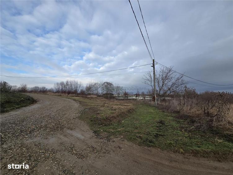 Teren intravilan,dublu front,Paleu,Oradea,Bihor - 2