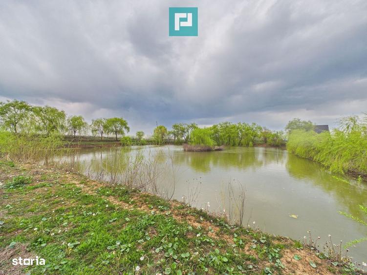 Teren 1 ha cu balta populata Alios (Masloc) - 2