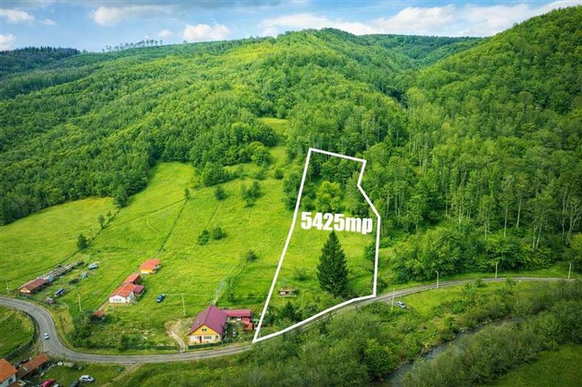 Teren la poalele padurii,Buzaiel,Vama Buzaului,DJ,constructie +utilitati,Brasov - 3