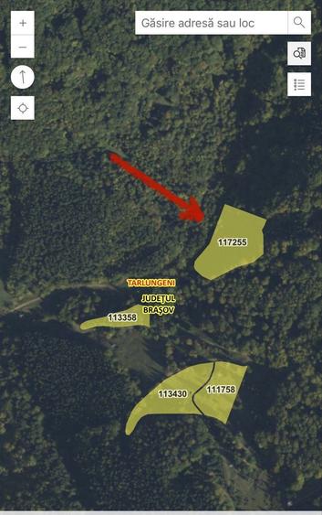 Teren vanzare Dalghiu - 1