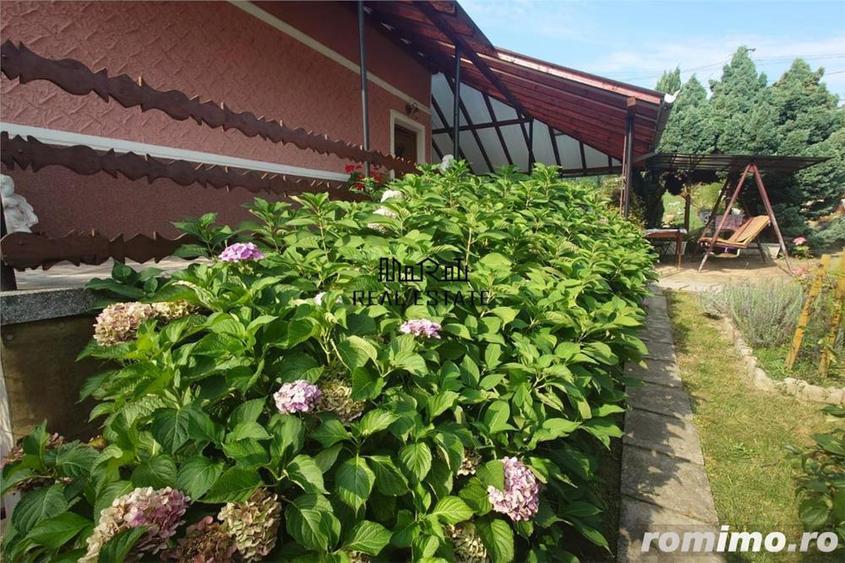 Casa cu Gradina, Parc si Priveliste in Brad, Jd. Hd - 8