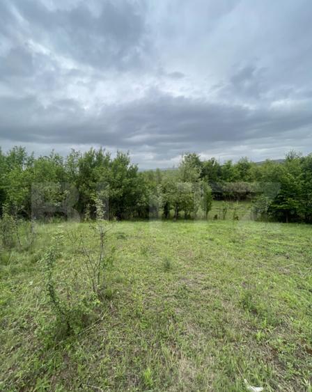 Teren extravilan 5200 mp Budacul de Jos- Investi?ie ex - 4