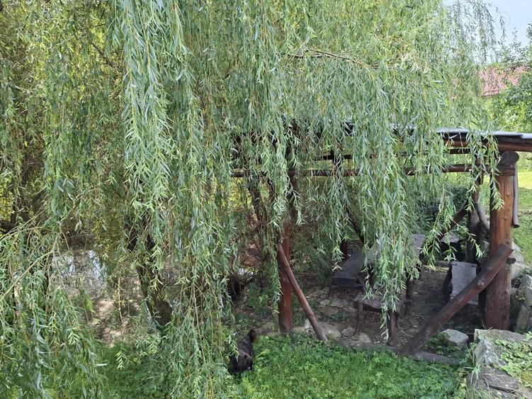 Casa de vanzare cu teren - 10