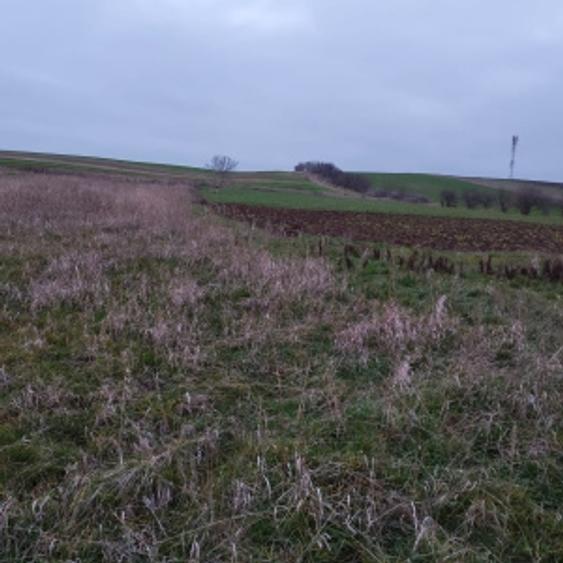 Teren extravilan, 4760 mp - zona Ghercesti - 2