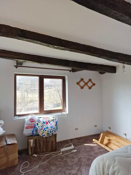 Proprietate 8.915 mp intravilan Sat Gales, Arges - 6