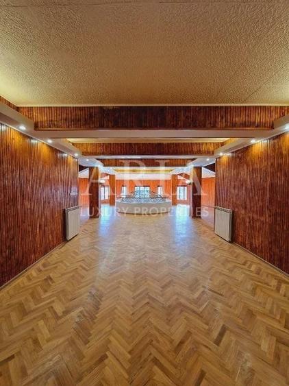 VANZARE VILA | HALA IN VLADICEASCA | SNAGOV | 10.500 MP TEREN - 9