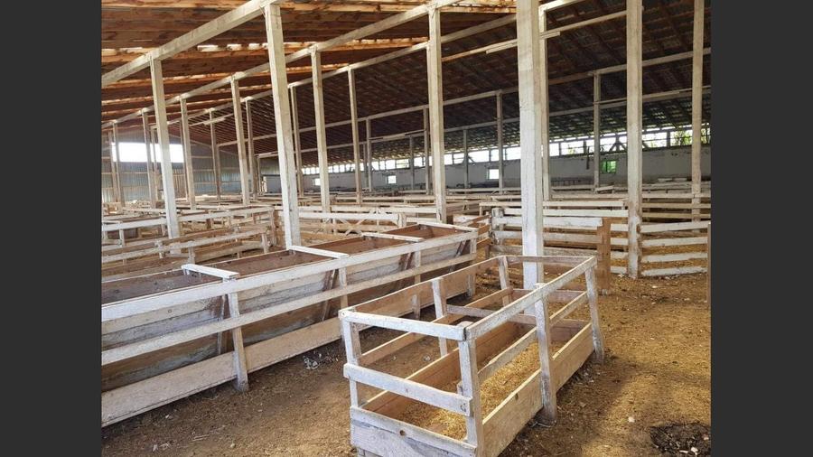 Ferma langa Oravita 5600 mp construiti si teren 24281 intravilan - 7