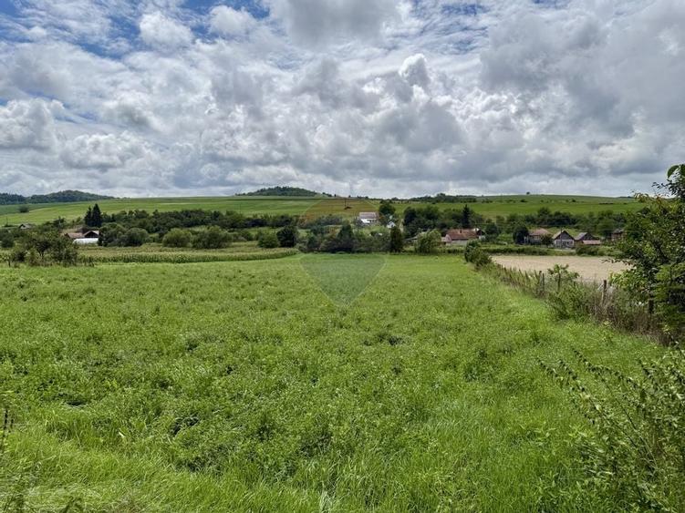 Teren 3200 mp I intravilan I Certificat Urbanism I Aschileu Mic - 5