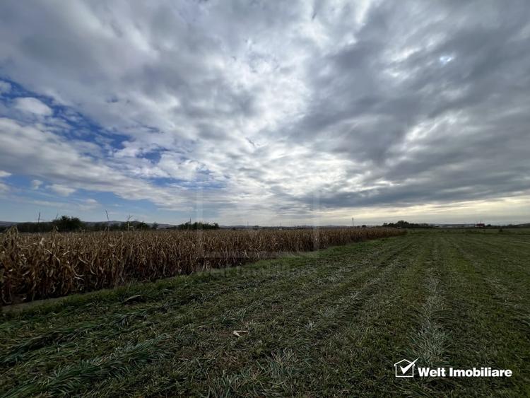 Teren 26.000mp, halta Rascruci drum european E576, jud. Cluj - 3