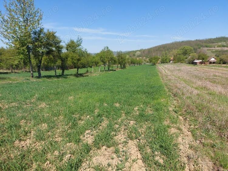 Teren de 76393 mp, în Vladimir