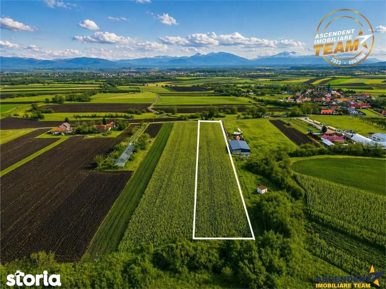 Film! Teren de 5.800 mp, Dobolii de Jos, Covasna - 1