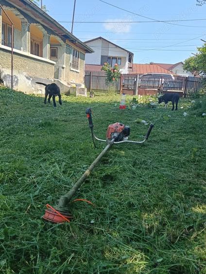 Casa de vanzare Lipane?ti Prahova - 7